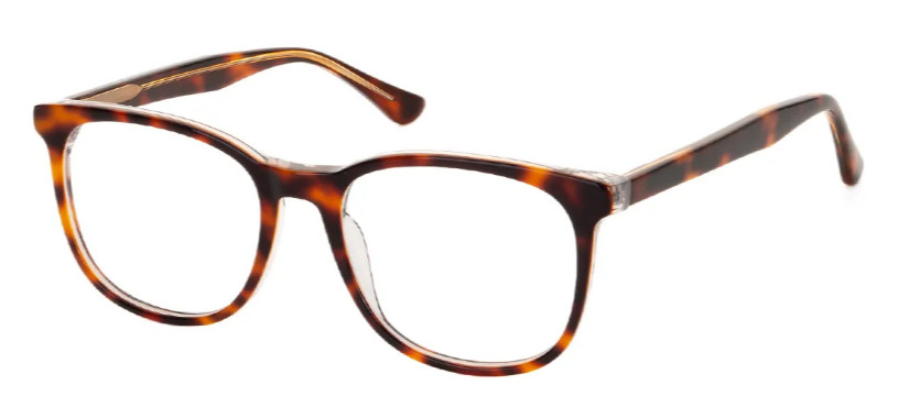 Square Tortoiseshell Glasses E08406B