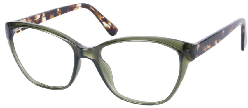 Cat-eye Green-Tortoiseshell Glasses E08556B