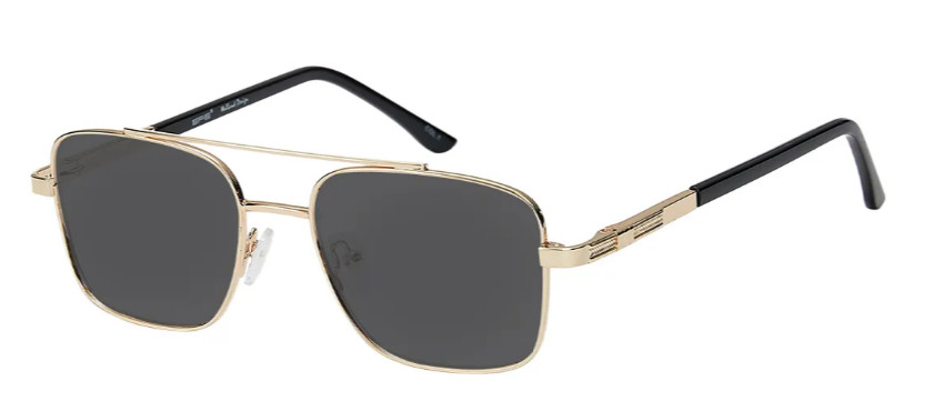 Square Gold Sunglasses E0556A