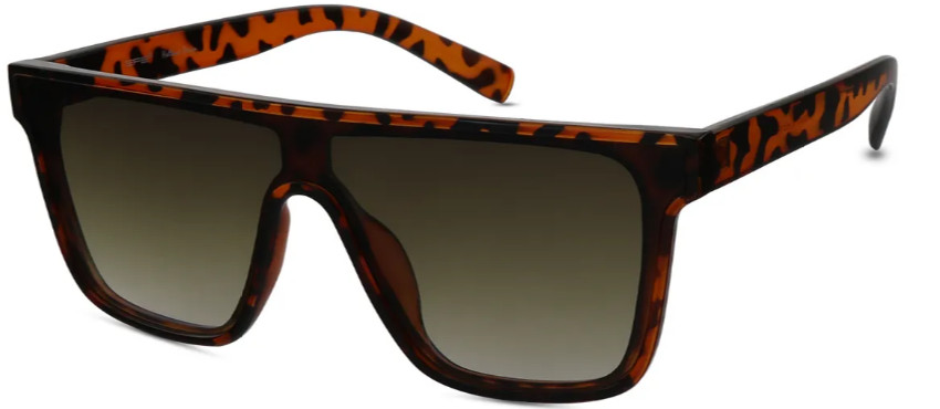Square Tortoiseshell Sunglasses E08243B