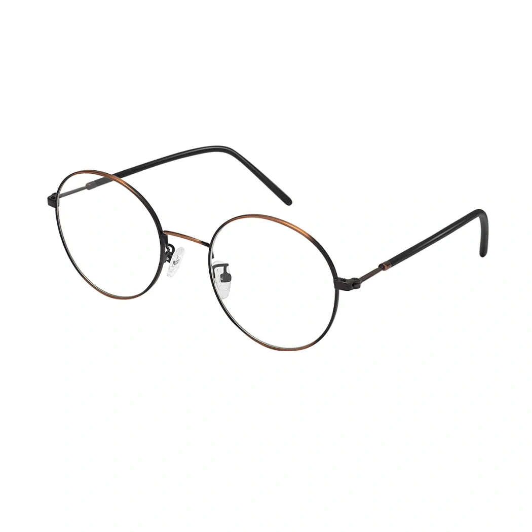 Round Brown/Black Eyeglasses