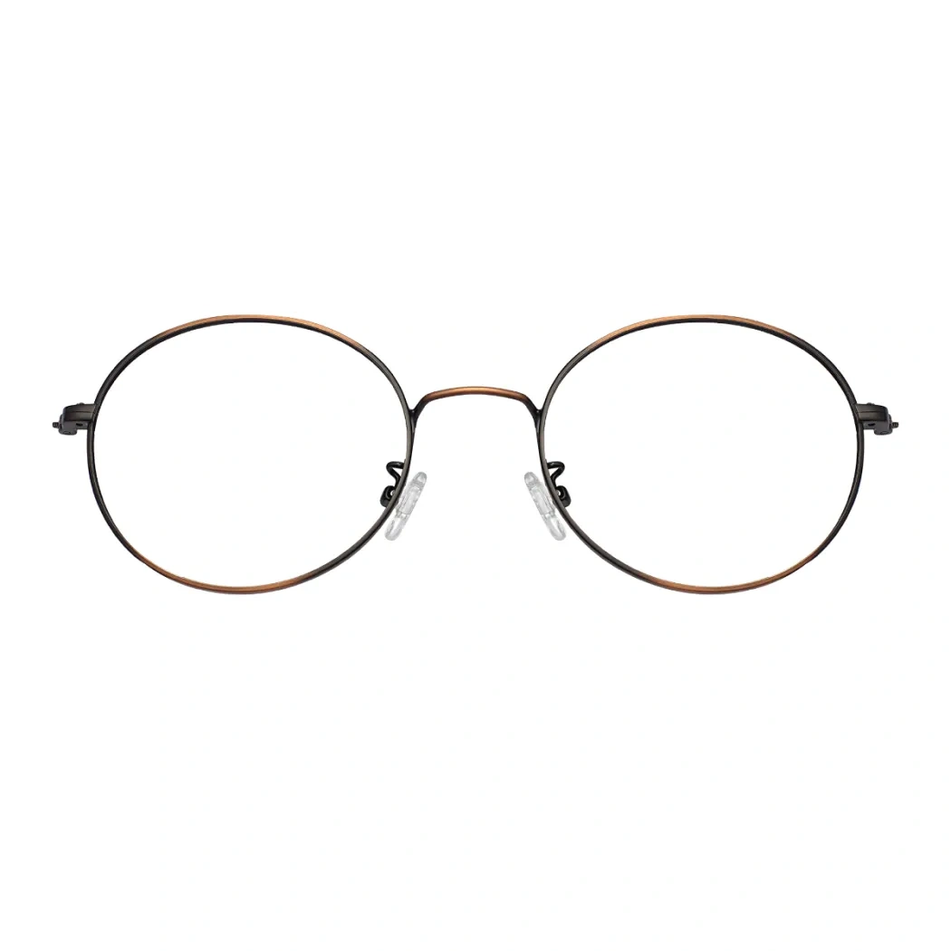 Round Brown/Black Eyeglasses