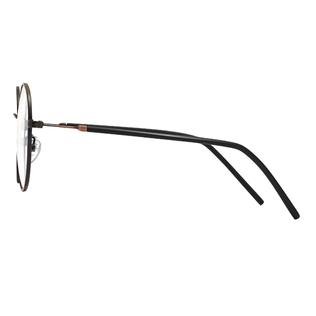 Round Brown/Black Eyeglasses