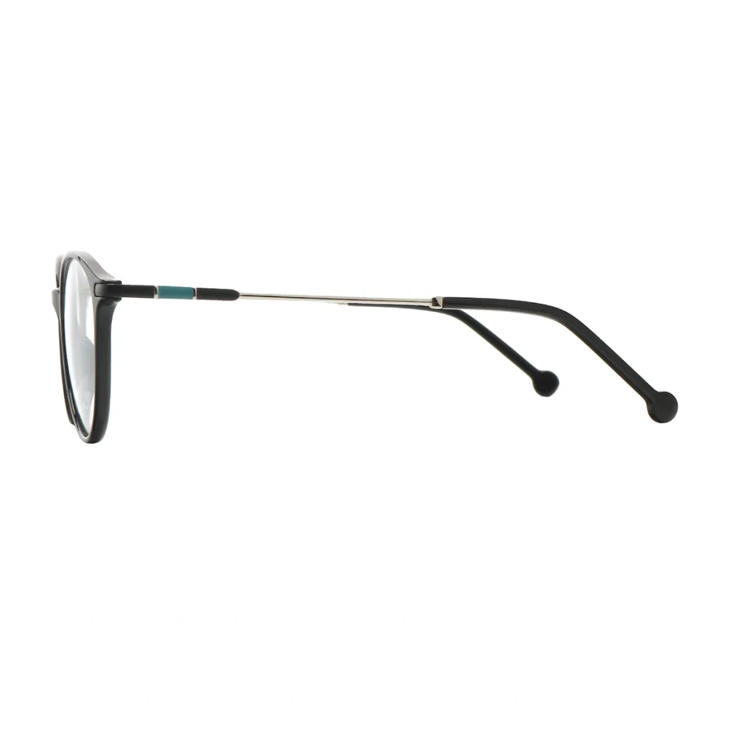 Oval Black Silver Eyeglasses