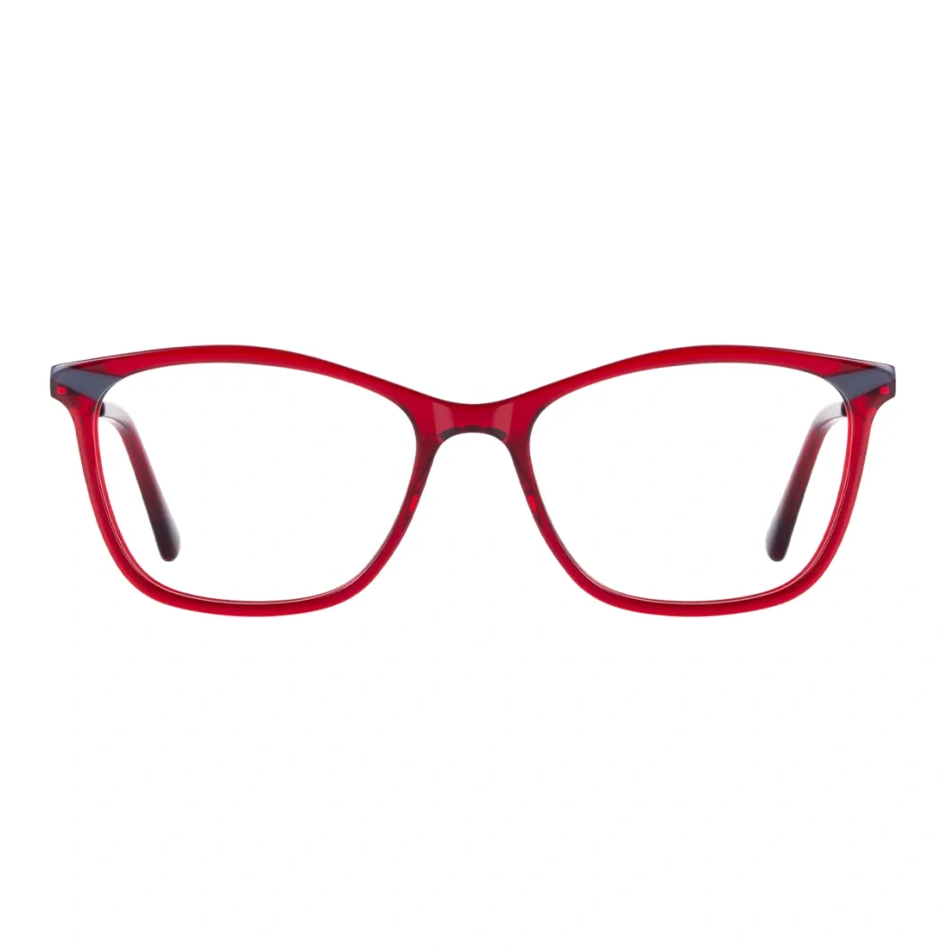 Rectangle Transparent Red Eyeglasses