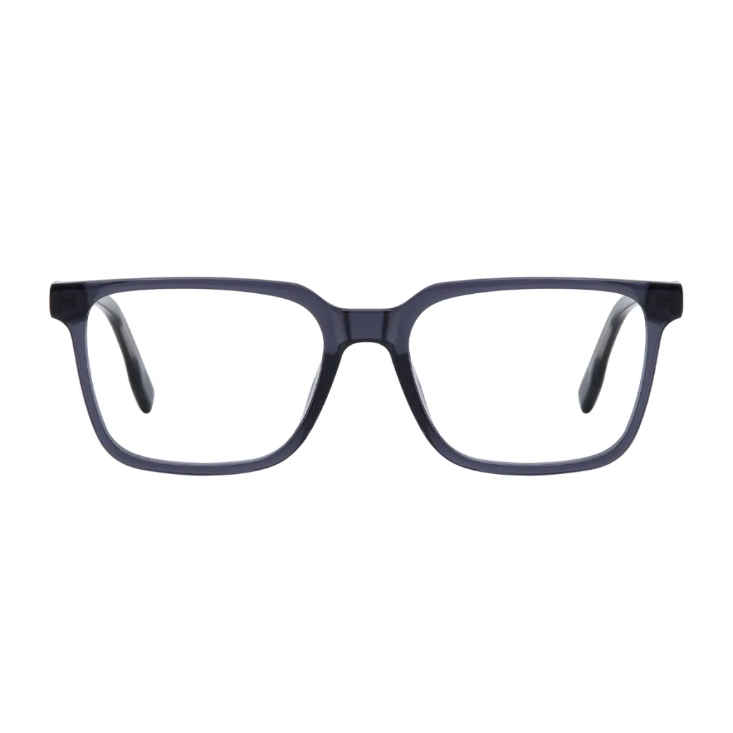 Rectangle Transparent Gray Eyeglasses