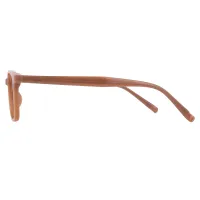 Rectangle Transparent Brown Eyeglasses