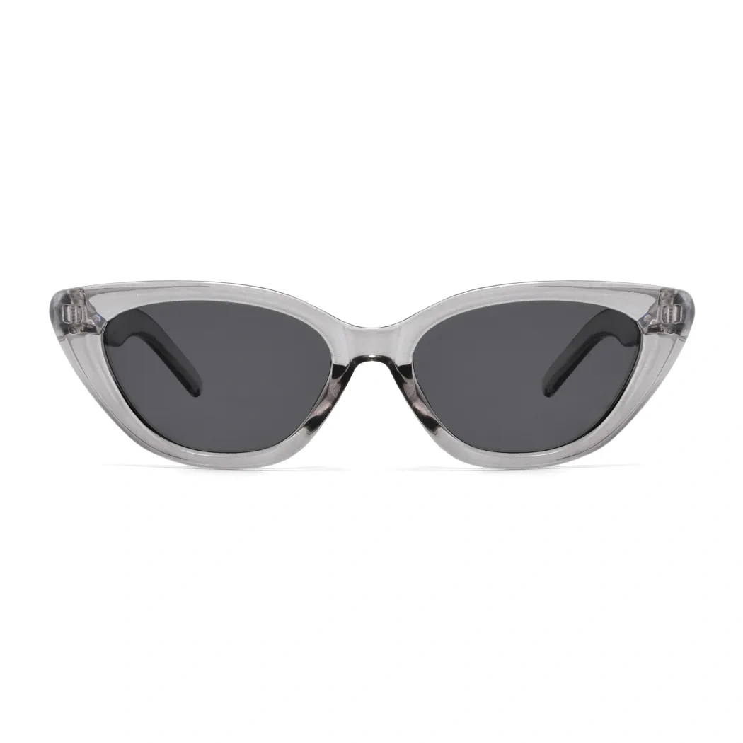 Cat-eye Transparent Gray Sunglasses