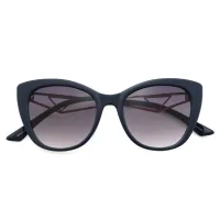 Cat-eye Navy Blue Sunglasses