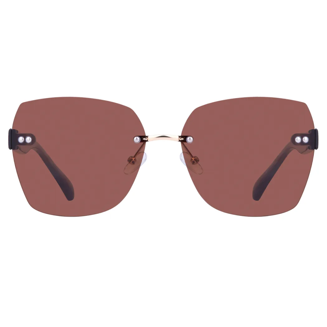 Geometric Tortoiseshell Sunglasses