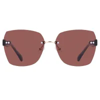 Geometric Tortoiseshell Sunglasses