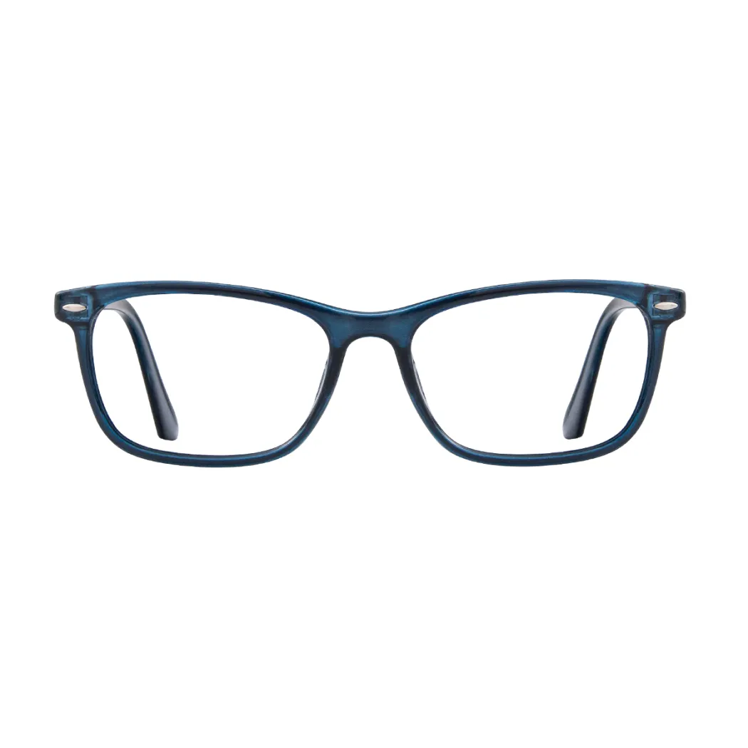 Rectangle Transparent Gray Eyeglasses
