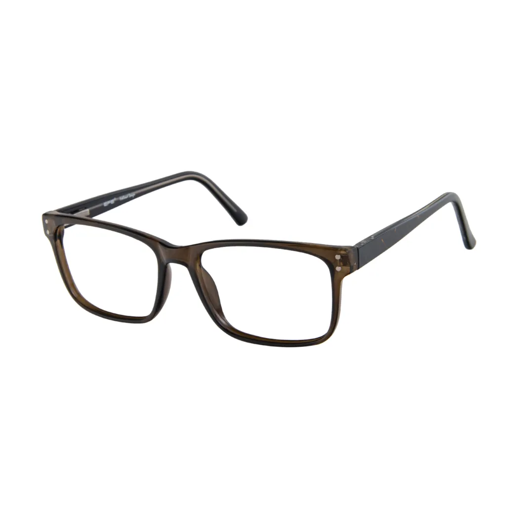 Rectangle Transparent Brown Eyeglasses