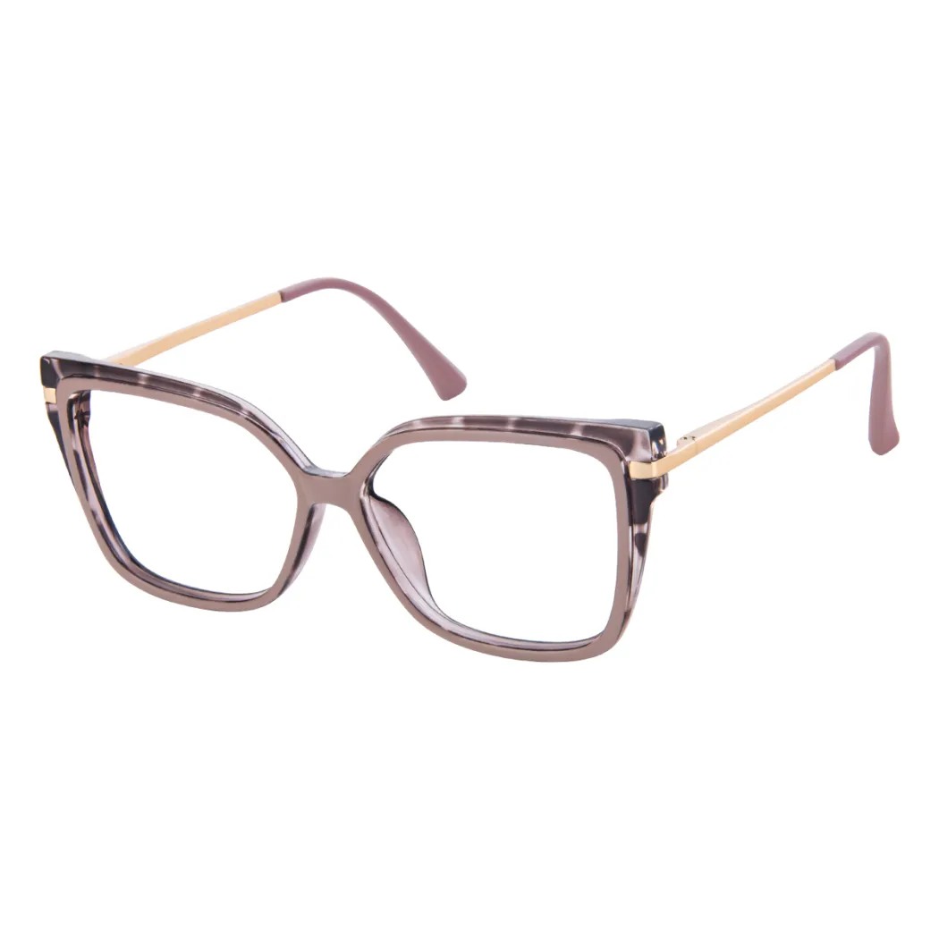 Square Tortoiseshell/Brown Eyeglasses