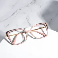 Square Tortoiseshell/Brown Eyeglasses