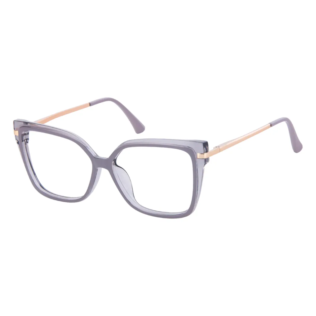 Square Transparent Gray Eyeglasses