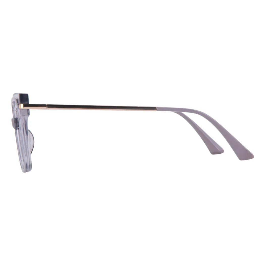 Square Transparent Gray Eyeglasses