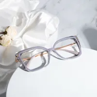 Square Transparent Gray Eyeglasses