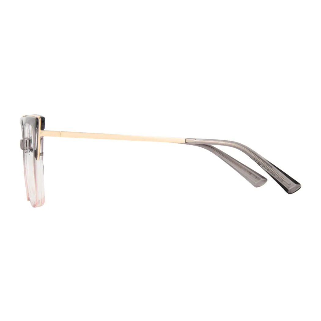 Square Transparent Gray/Transparent Pink Eyeglasses