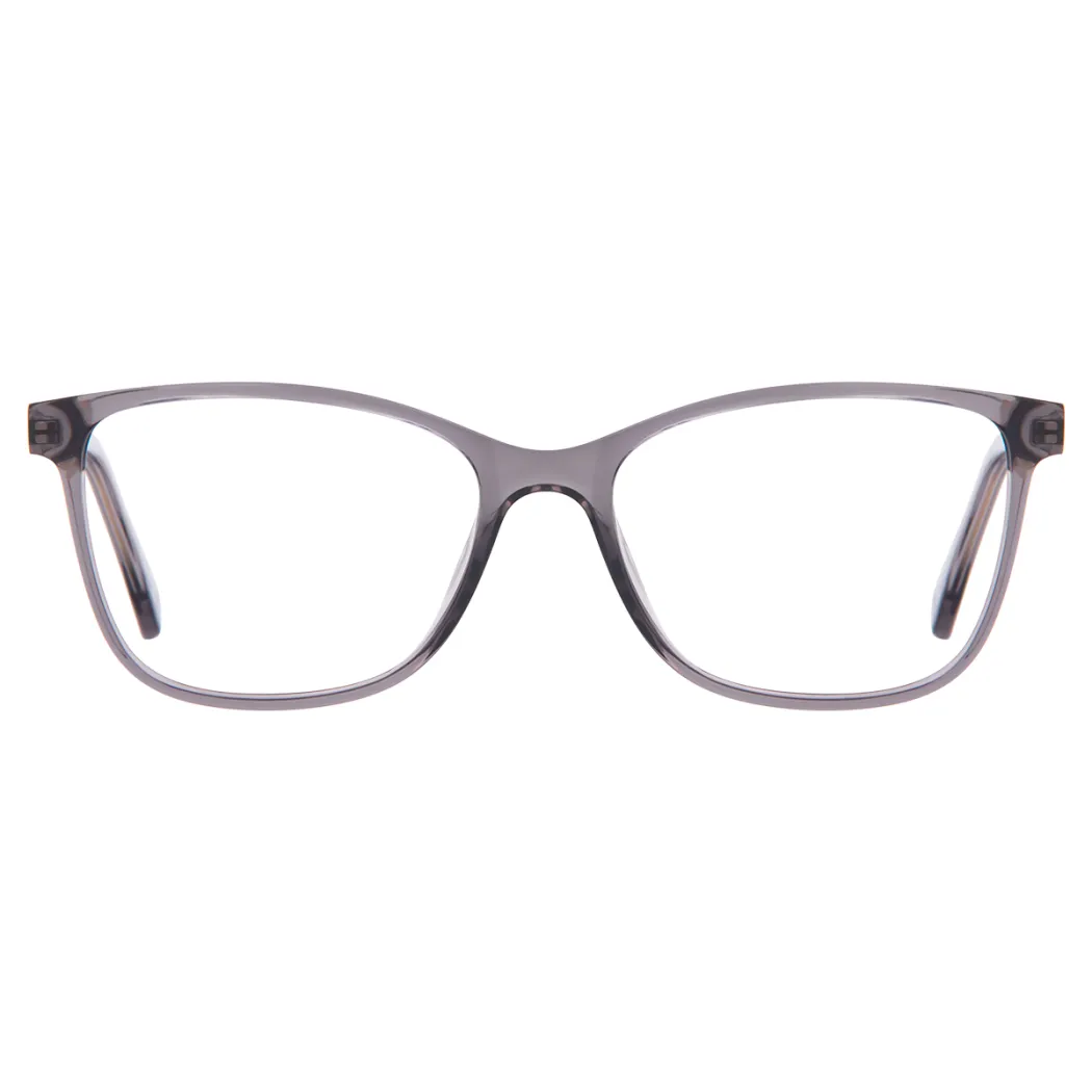 Rectangle Transparent Gray Eyeglasses