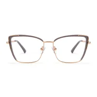 Cat-eye Transparent Gray Eyeglasses