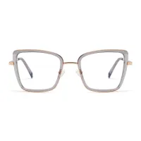 Square Transparent Gray Eyeglasses