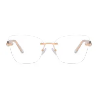 Square Clear Eyeglasses