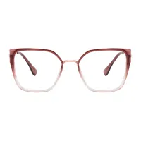 Square Transparent Red Eyeglasses