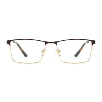 Browline Brown Gold