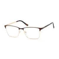 Browline Brown Eyeglasses