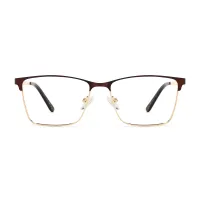 Browline Brown Eyeglasses