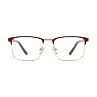Browline Gold Eyeglasses