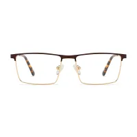 Browline Gold Eyeglasses