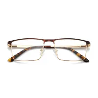 Browline Gold Eyeglasses