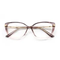 TR90 Metal Transparent