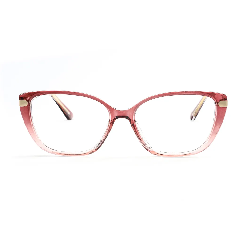 TR90 Metal Transparent