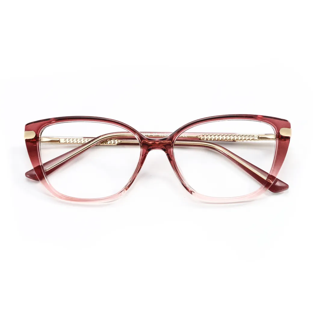 TR90 Metal Transparent