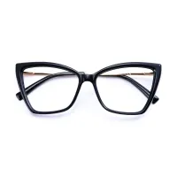 Chic Black Cat