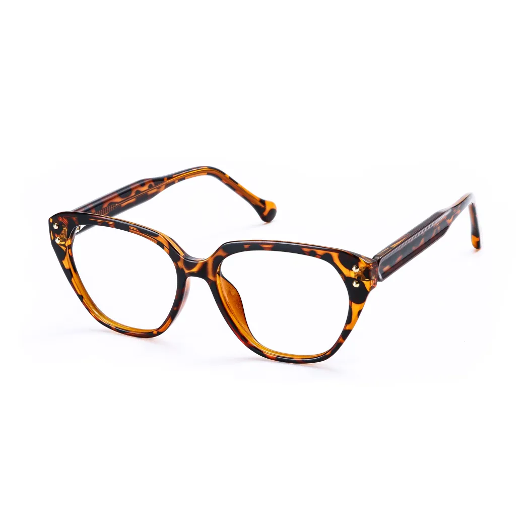 Classic Tortoiseshell Cat