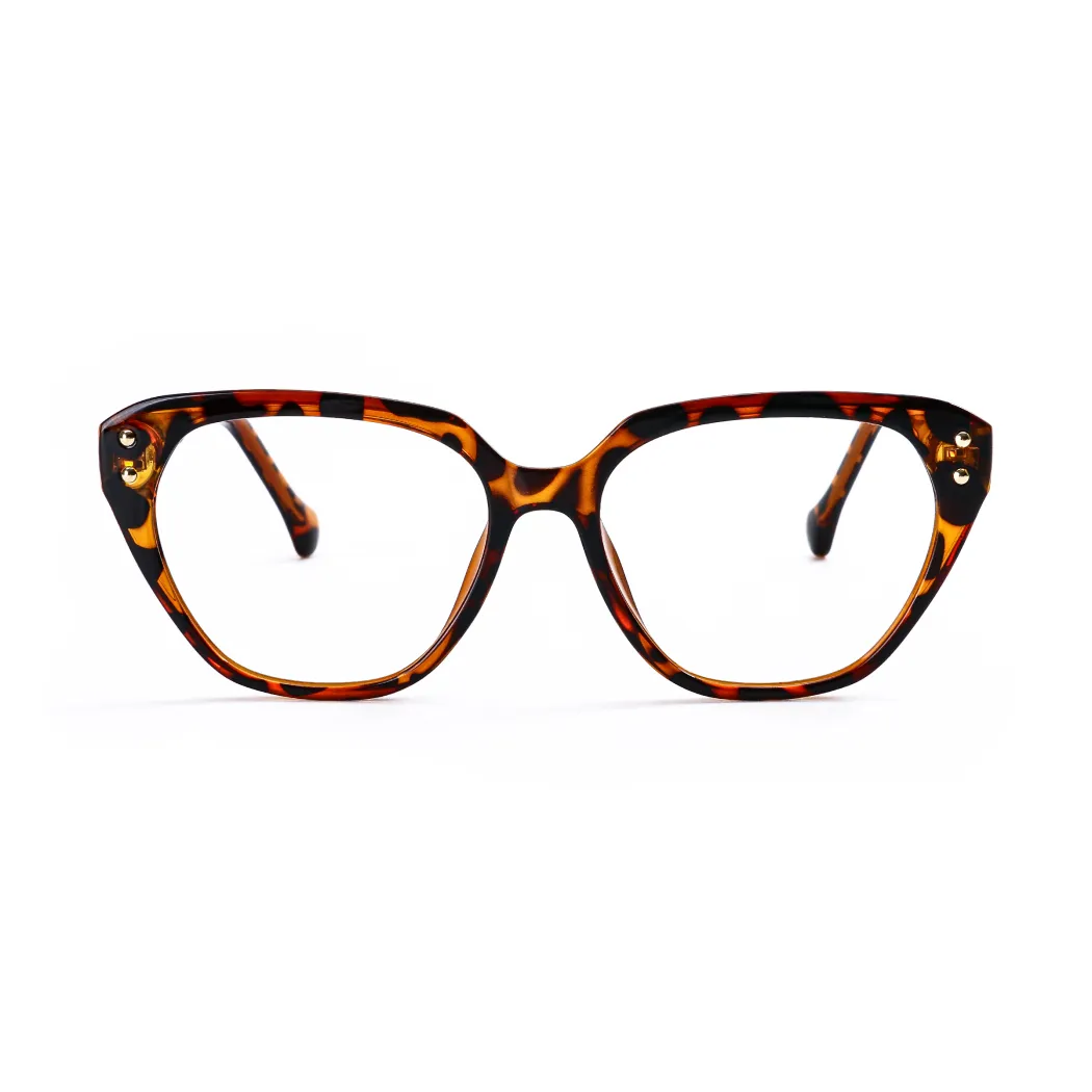Classic Tortoiseshell Cat