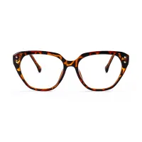 Classic Tortoiseshell Cat