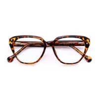 Classic Tortoiseshell Cat