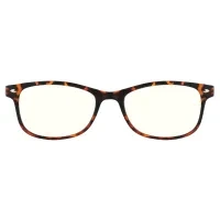Oval Tortoiseshell Reading Glasses