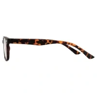 Oval Tortoiseshell Reading Glasses