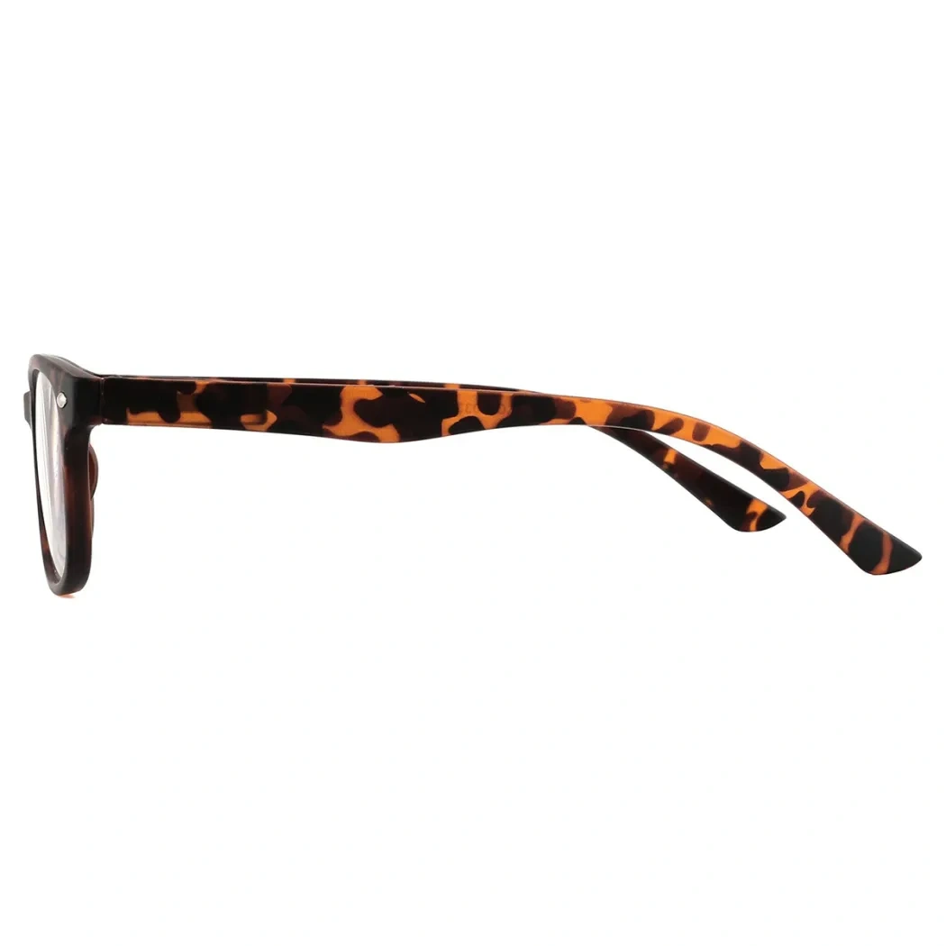 Oval Tortoiseshell Reading Glasses