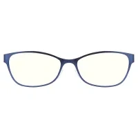 Cat-eye Blue Reading Glasses