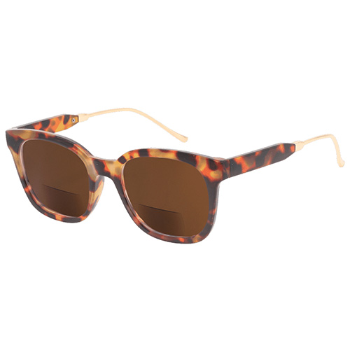 bifocal sunglasses