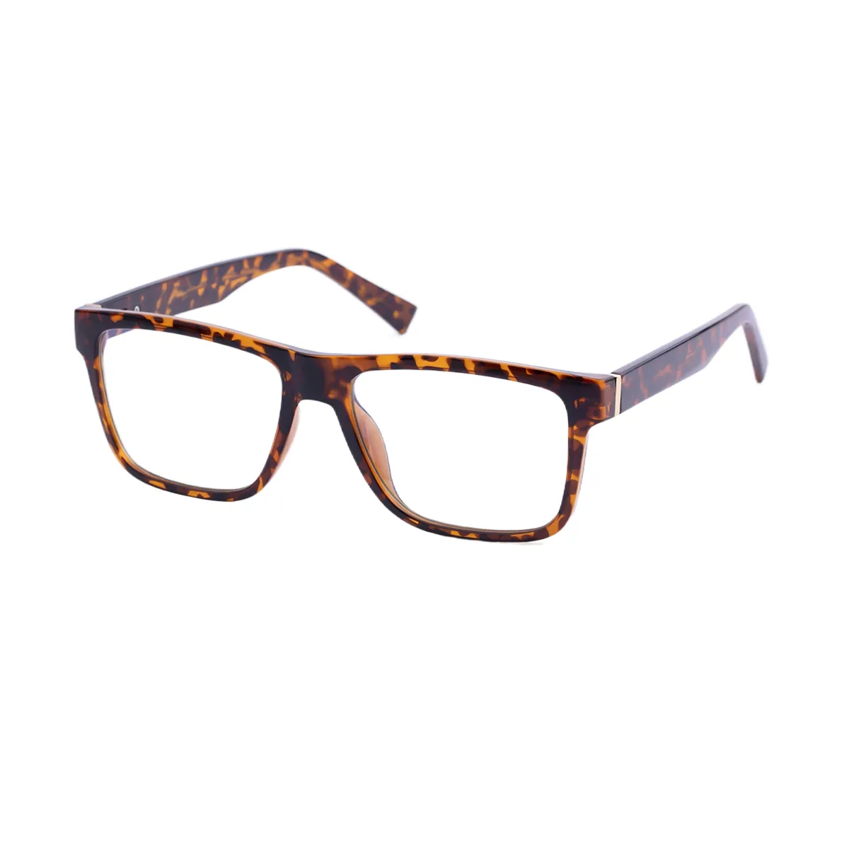 Alex - Square Tortoiseshell Glasses for Men - EFE