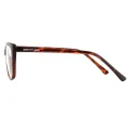 Haines - Cat-eye Tortoiseshell Glasses for Women