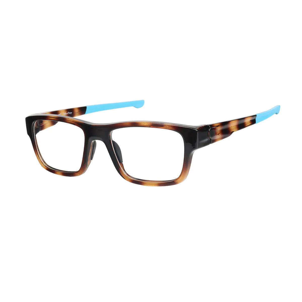 Hawthorne - Rectangle Tortoiseshell-Blue Glasses for Men - EFE
